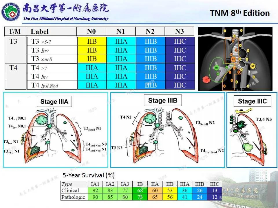 影像PPT - 【PPT】肺癌TNM分期 第8版-14