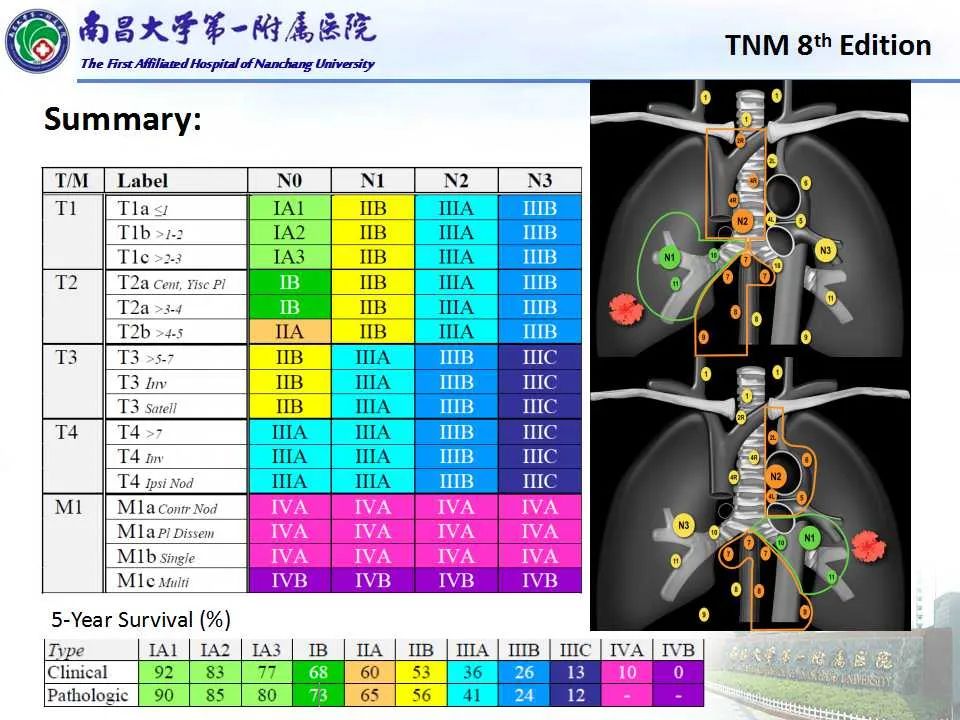 影像PPT - 【PPT】肺癌TNM分期 第8版-17