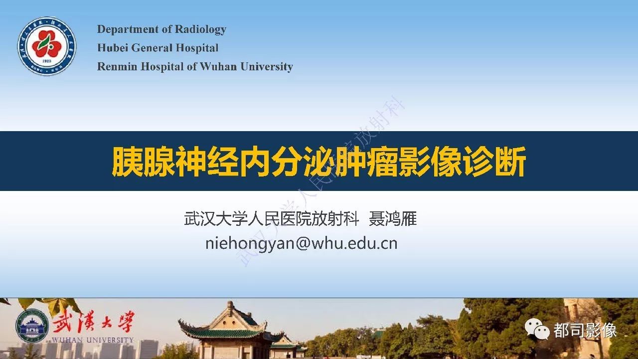 影像PPT - 【病例】胰腺神经内分泌肿瘤肝转移1例CT及MR-11
