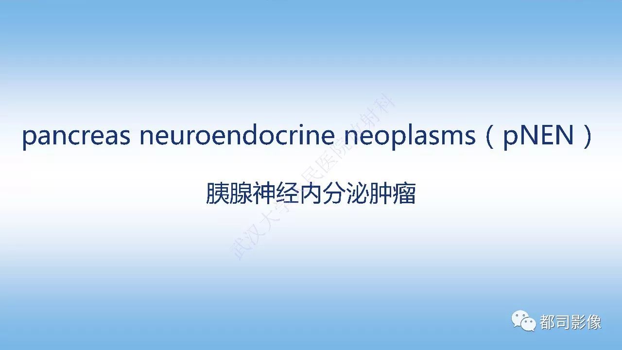 影像PPT - 【病例】胰腺神经内分泌肿瘤肝转移1例CT及MR-17