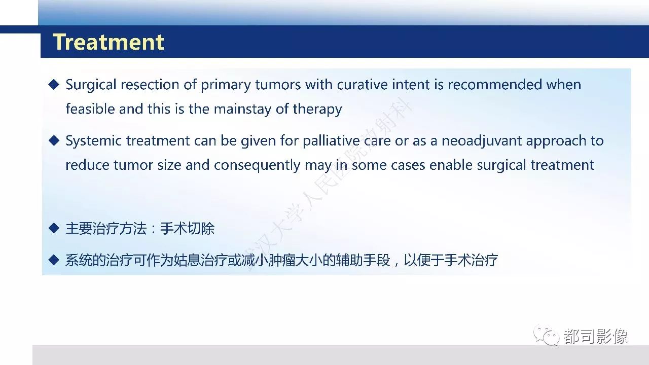 影像PPT - 【病例】胰腺神经内分泌肿瘤肝转移1例CT及MR-29