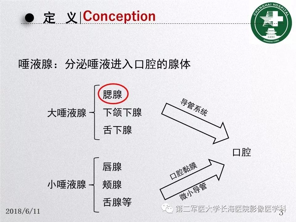 影像PPT - 【PPT】腮腺常见疾病-3