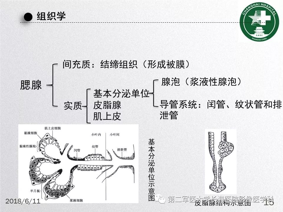 影像PPT - 【PPT】腮腺常见疾病-15