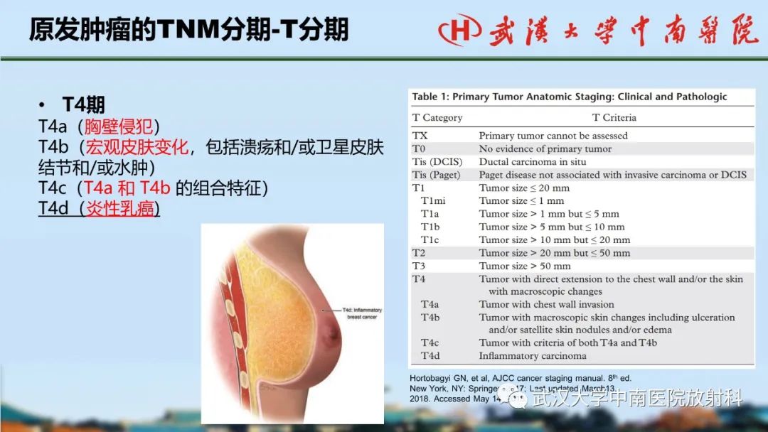 影像PPT - 【PPT】乳腺癌第八版TNM分期解读—影像科医生的责任和挑战-17