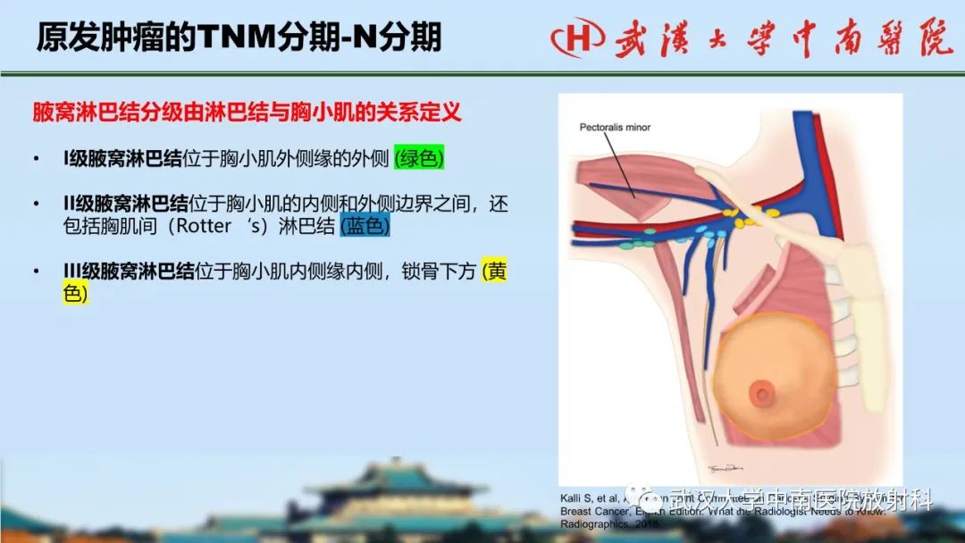 影像PPT - 【PPT】乳腺癌第八版TNM分期解读—影像科医生的责任和挑战-25