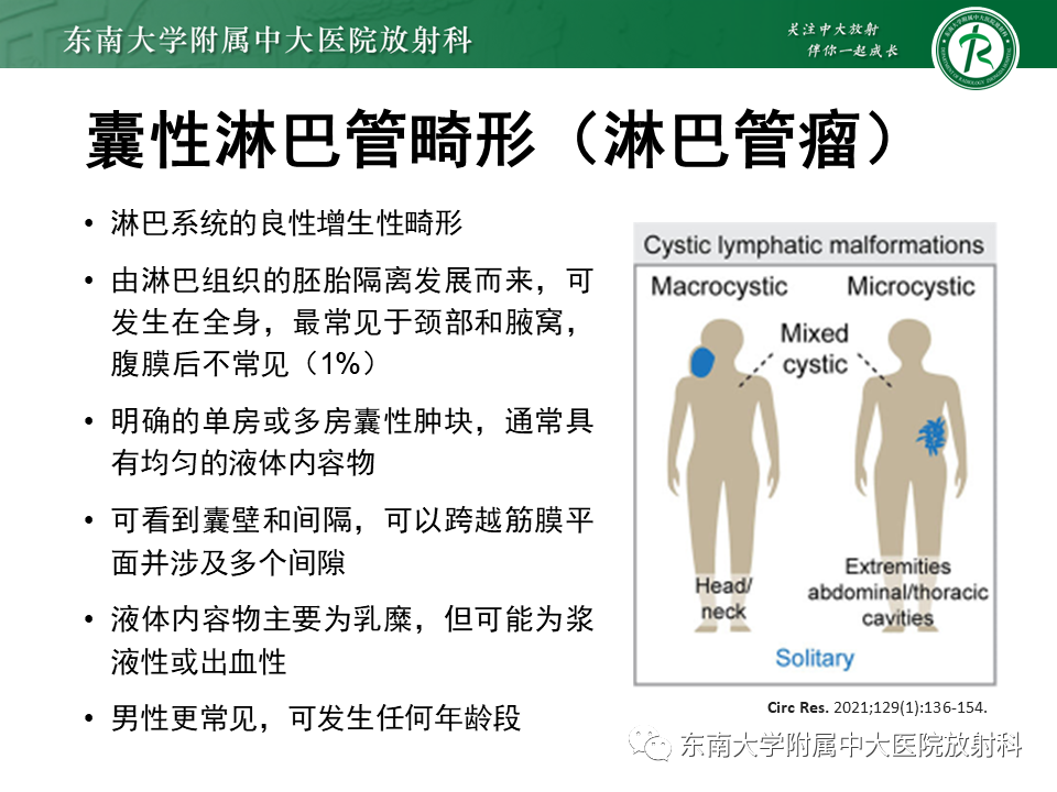 影像PPT - 【PPT】原发性腹膜后囊性病变-42