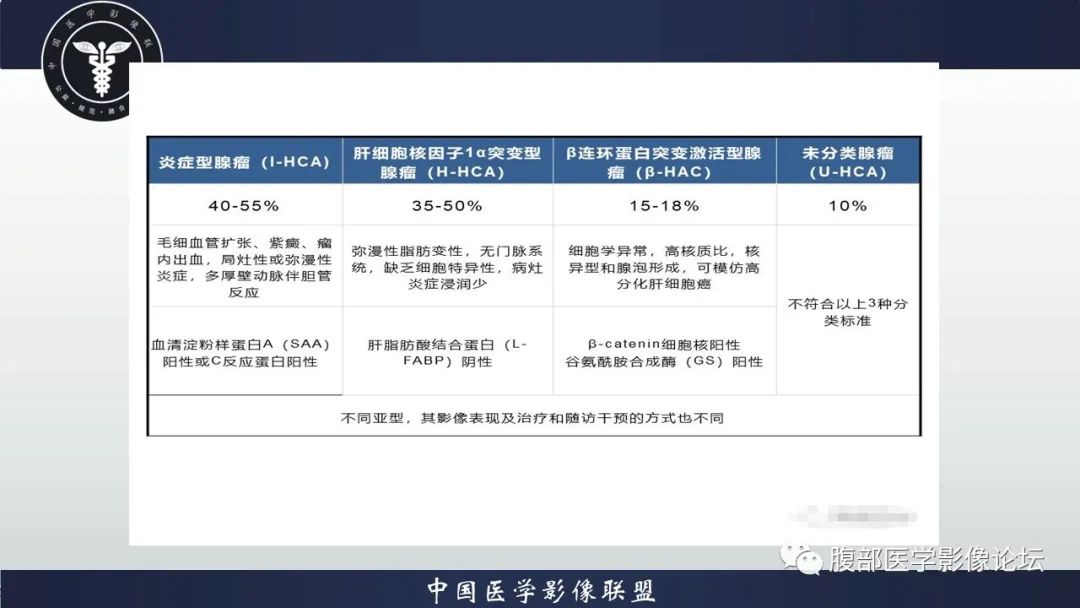 影像PPT - 【病例】肝脏肝细胞腺瘤1例MR影像-15