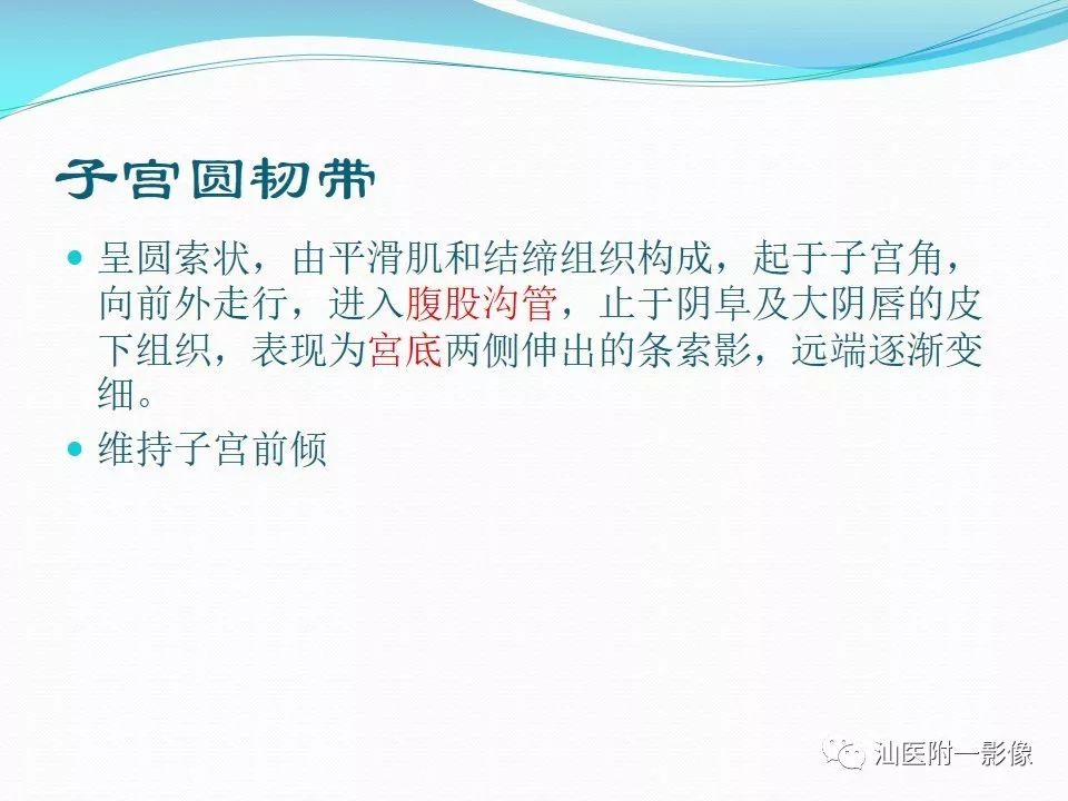 影像PPT - 【PPT】女性盆腔结构解剖复习-4