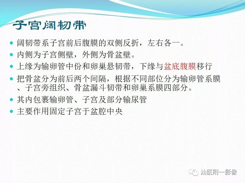影像PPT - 【PPT】女性盆腔结构解剖复习-24