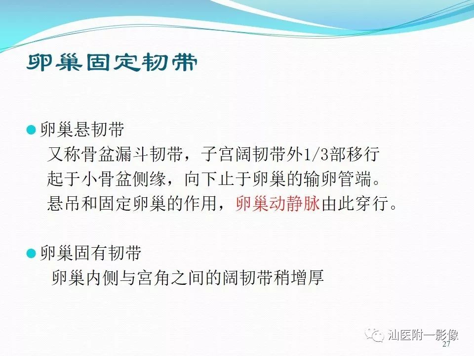影像PPT - 【PPT】女性盆腔结构解剖复习-27
