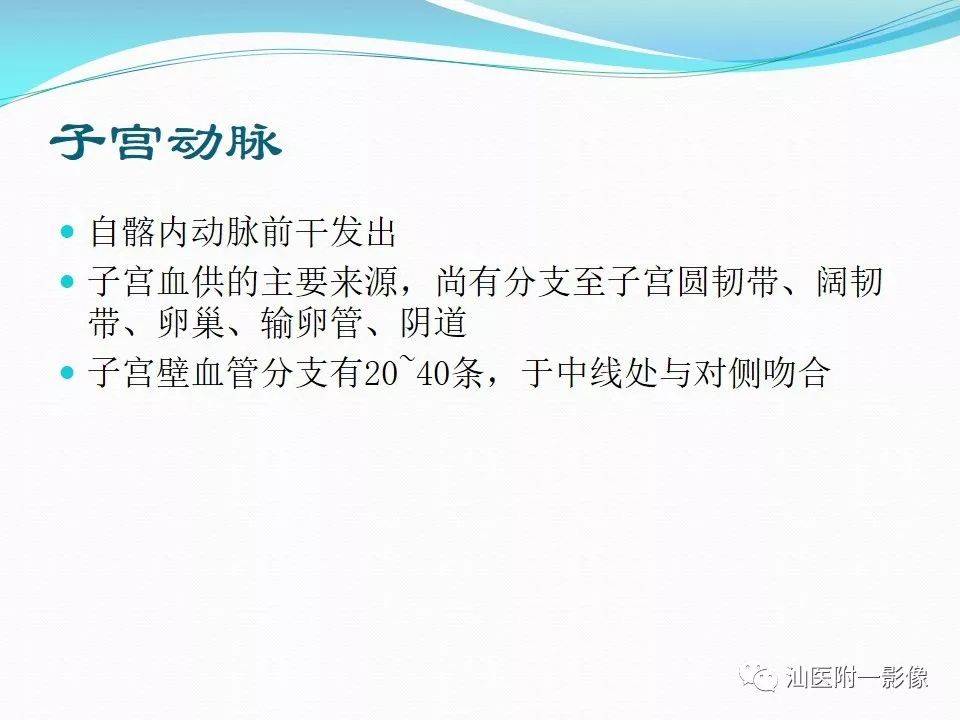 影像PPT - 【PPT】女性盆腔结构解剖复习-31