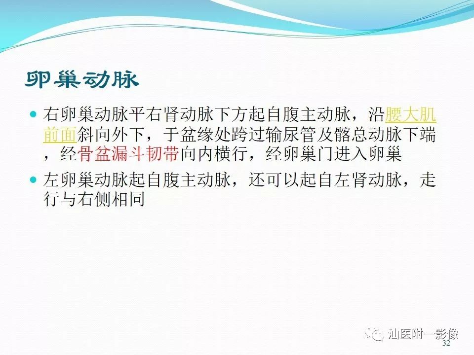影像PPT - 【PPT】女性盆腔结构解剖复习-32
