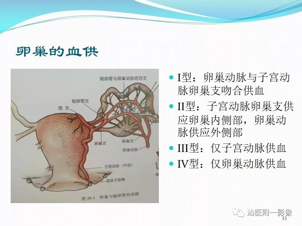 影像PPT - 【PPT】女性盆腔结构解剖复习-33