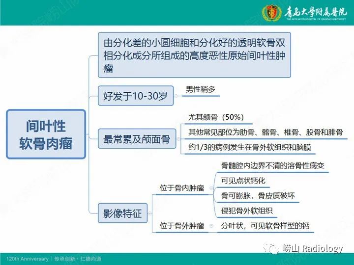 影像PPT - 【PPT】软骨肉瘤-28