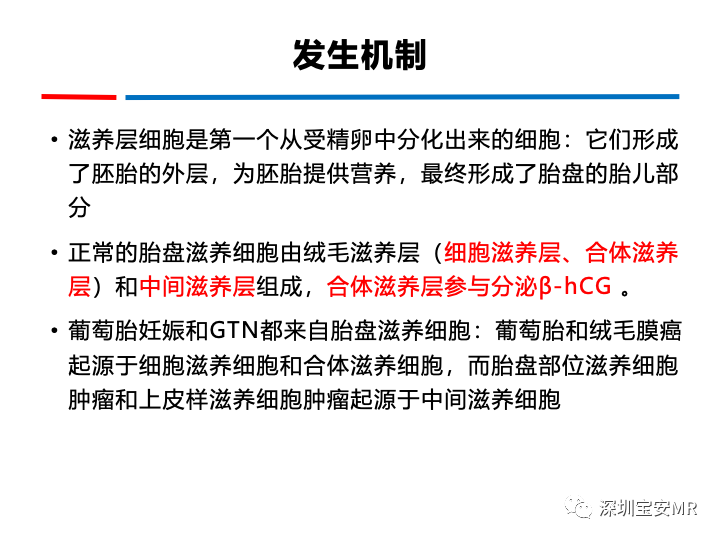影像PPT - 【PPT】妊娠滋养细胞疾病-13
