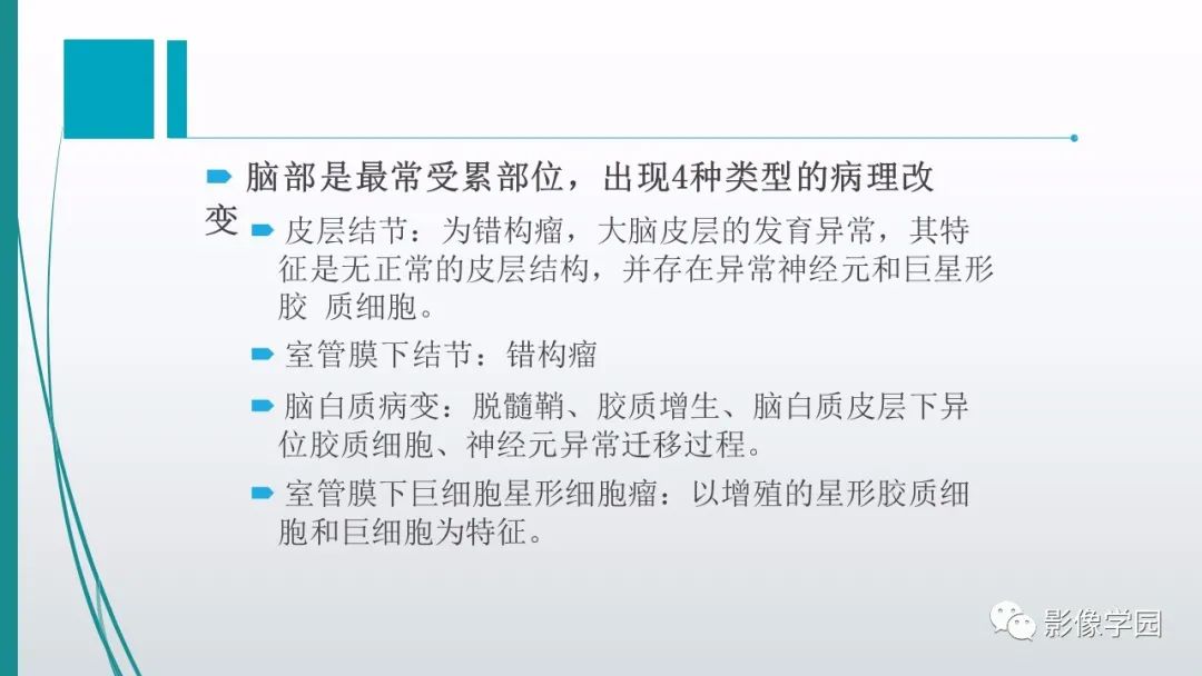 影像PPT - 【PPT】颅脑先天性畸形及发育异常的影像诊断-38