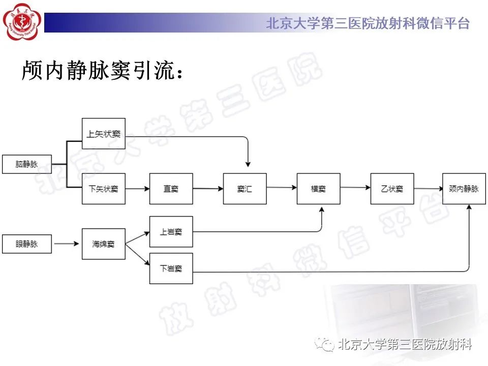 影像PPT - 【PPT】颅内静脉窦血栓-16