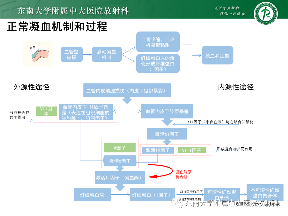 影像PPT - 【PPT】血友病性骨关节炎-14 影像PPT - 【PPT】血友病性骨关节炎-14