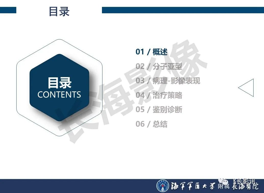 影像PPT - 【PPT】肝细胞腺瘤的影像学诊断-2
