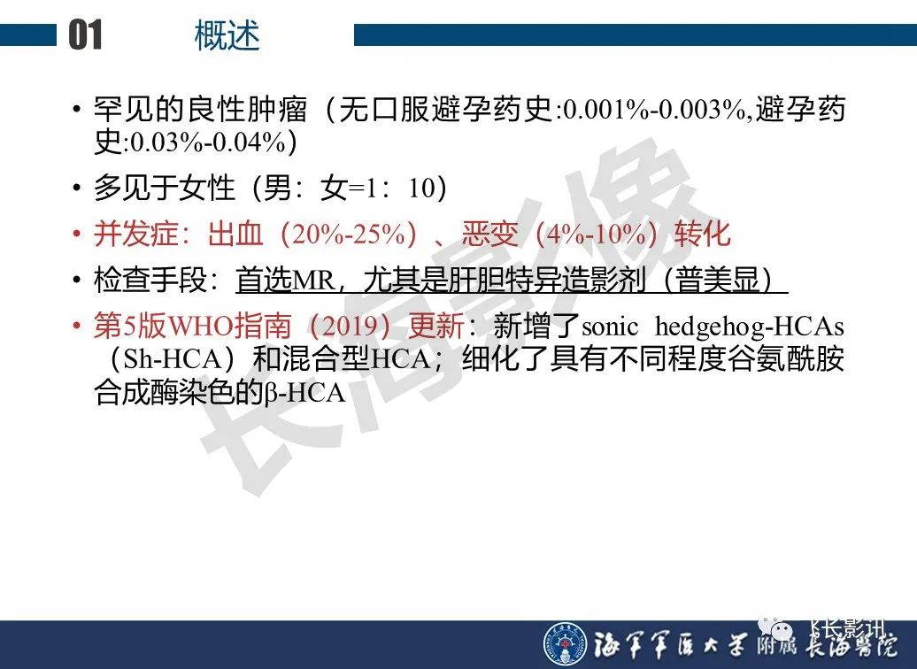 影像PPT - 【PPT】肝细胞腺瘤的影像学诊断-3