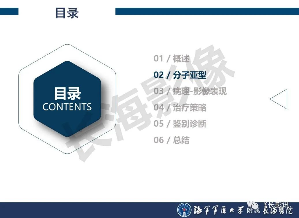 影像PPT - 【PPT】肝细胞腺瘤的影像学诊断-5