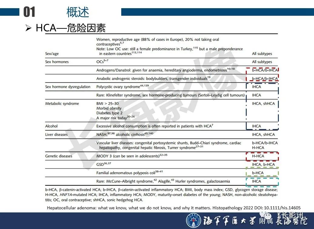 影像PPT - 【PPT】肝细胞腺瘤的影像学诊断-4