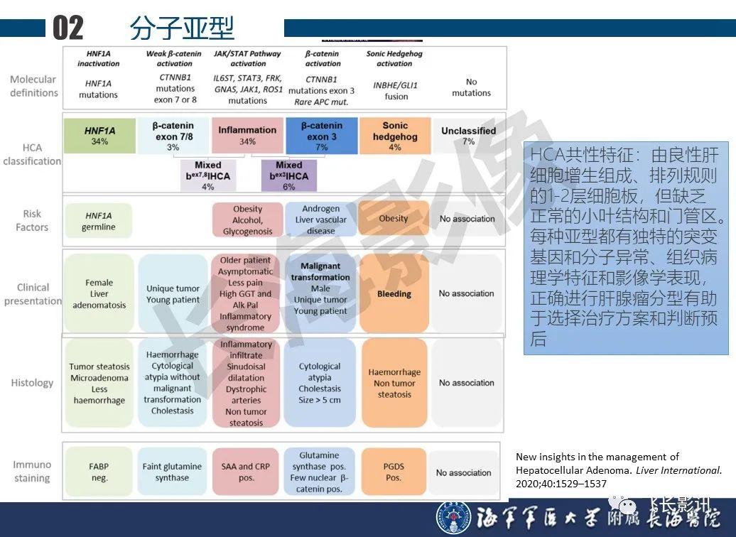 影像PPT - 【PPT】肝细胞腺瘤的影像学诊断-6