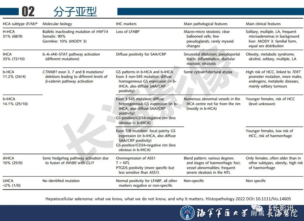 影像PPT - 【PPT】肝细胞腺瘤的影像学诊断-7