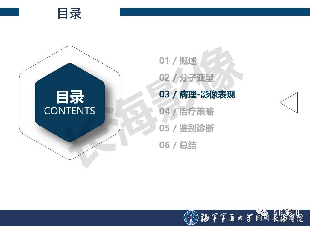 影像PPT - 【PPT】肝细胞腺瘤的影像学诊断-8