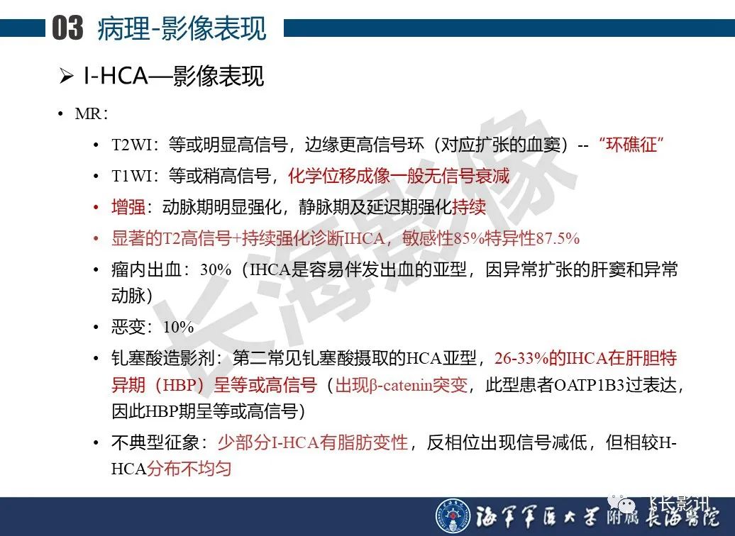 影像PPT - 【PPT】肝细胞腺瘤的影像学诊断-12
