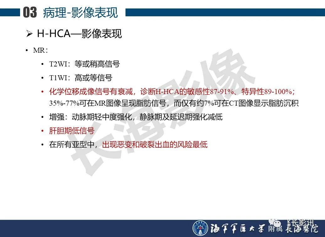 影像PPT - 【PPT】肝细胞腺瘤的影像学诊断-23