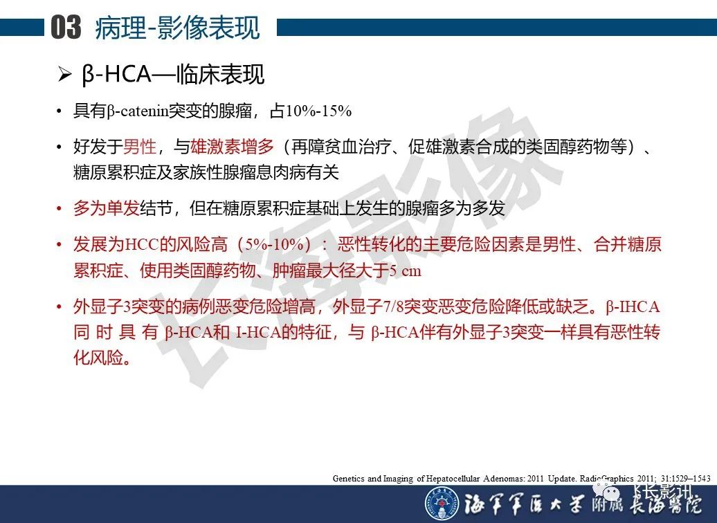 影像PPT - 【PPT】肝细胞腺瘤的影像学诊断-28