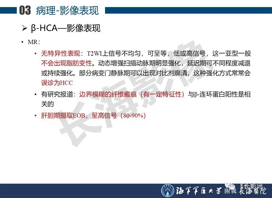 影像PPT - 【PPT】肝细胞腺瘤的影像学诊断-32