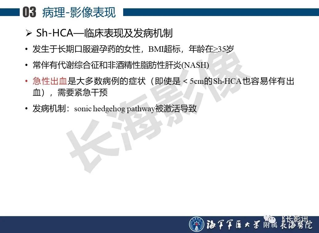 影像PPT - 【PPT】肝细胞腺瘤的影像学诊断-34
