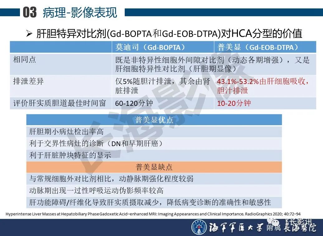 影像PPT - 【PPT】肝细胞腺瘤的影像学诊断-37