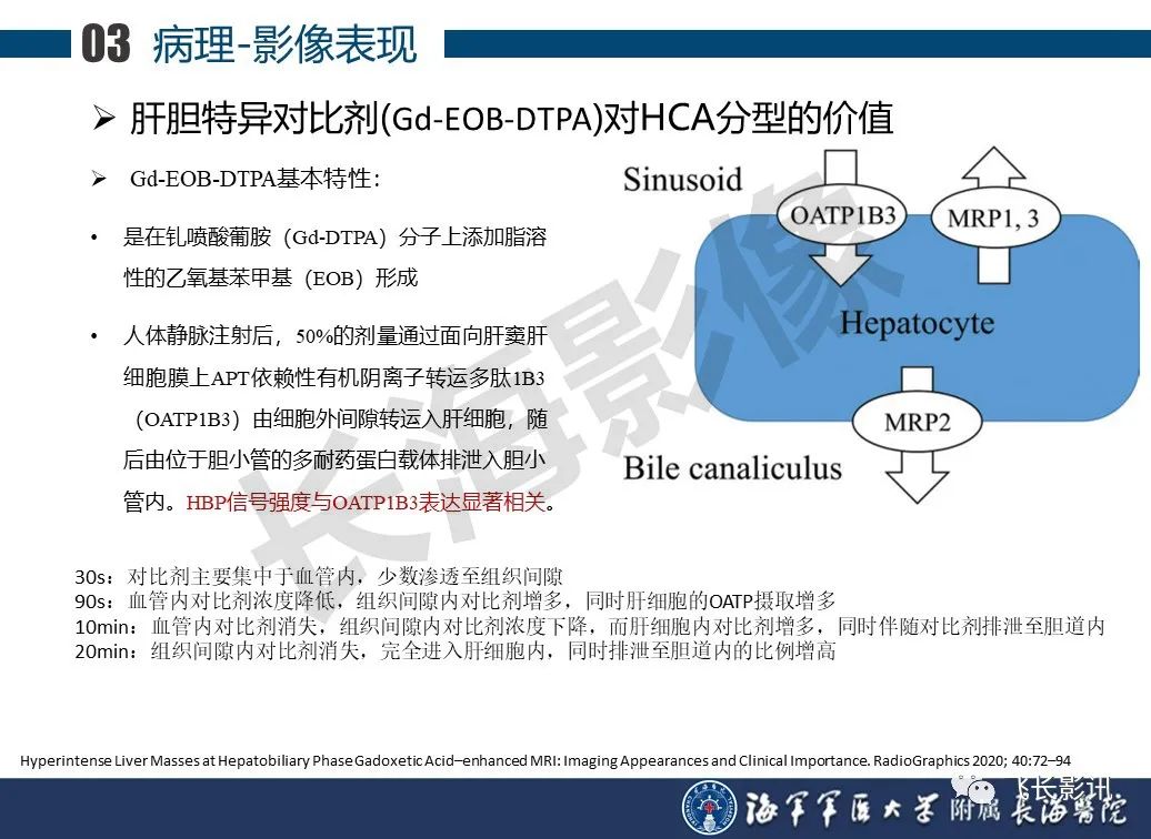 影像PPT - 【PPT】肝细胞腺瘤的影像学诊断-40