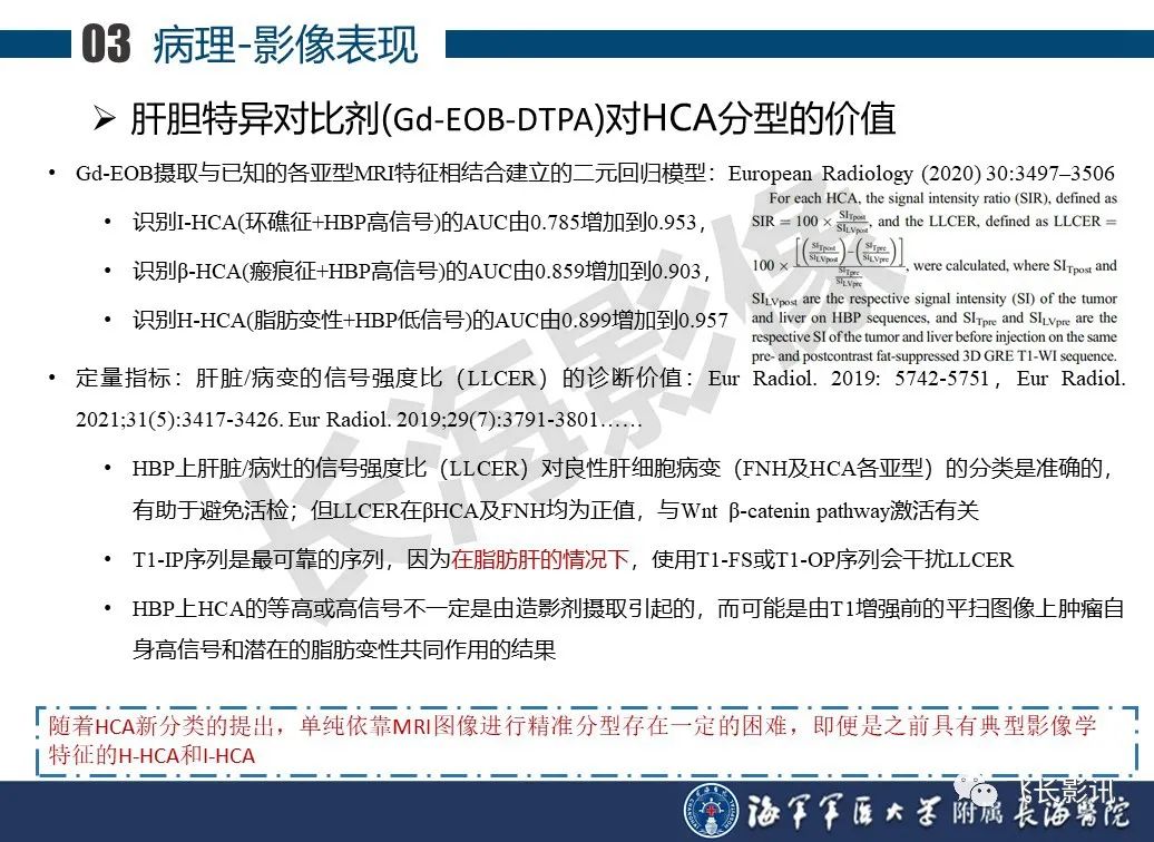 影像PPT - 【PPT】肝细胞腺瘤的影像学诊断-42