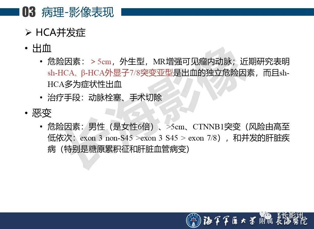 影像PPT - 【PPT】肝细胞腺瘤的影像学诊断-45