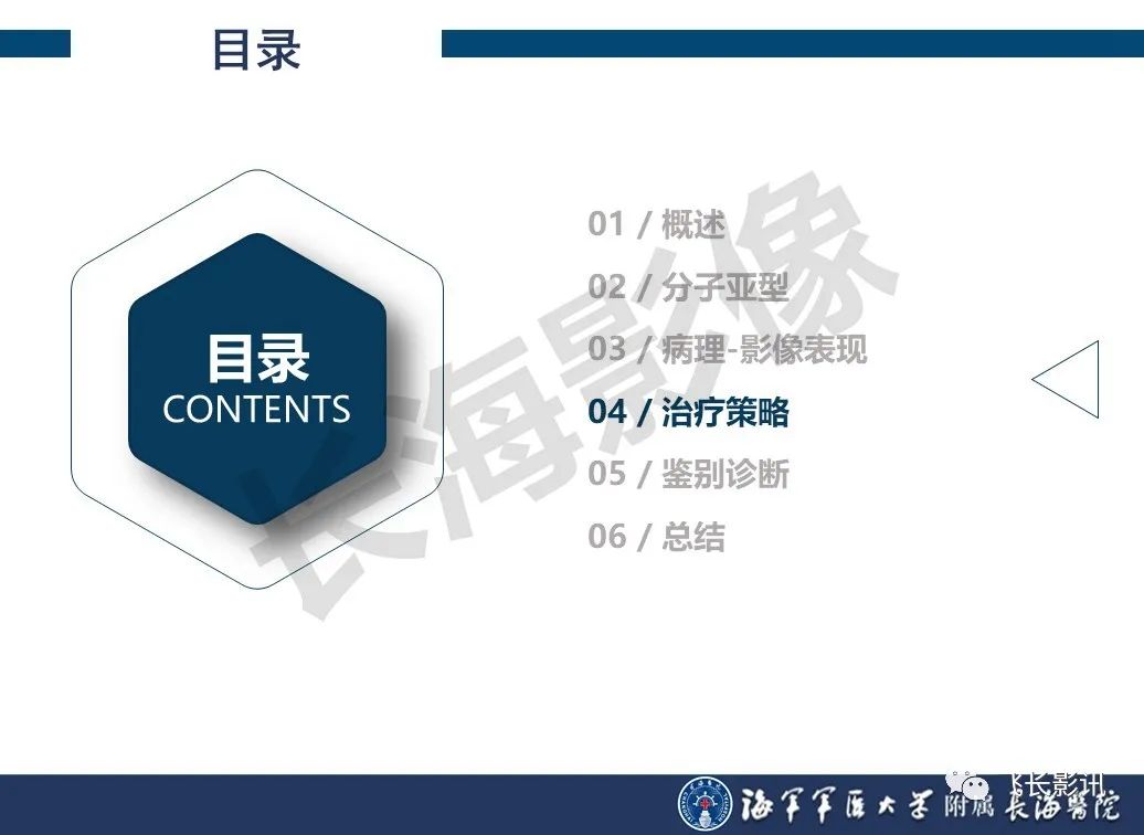 影像PPT - 【PPT】肝细胞腺瘤的影像学诊断-46