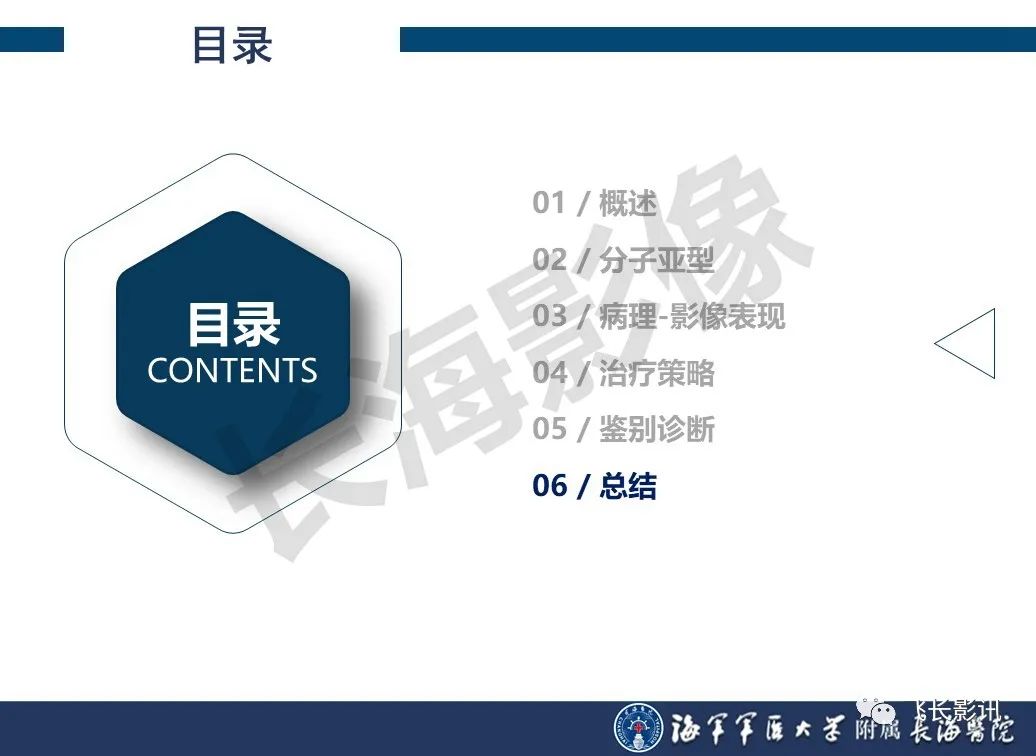 影像PPT - 【PPT】肝细胞腺瘤的影像学诊断-60
