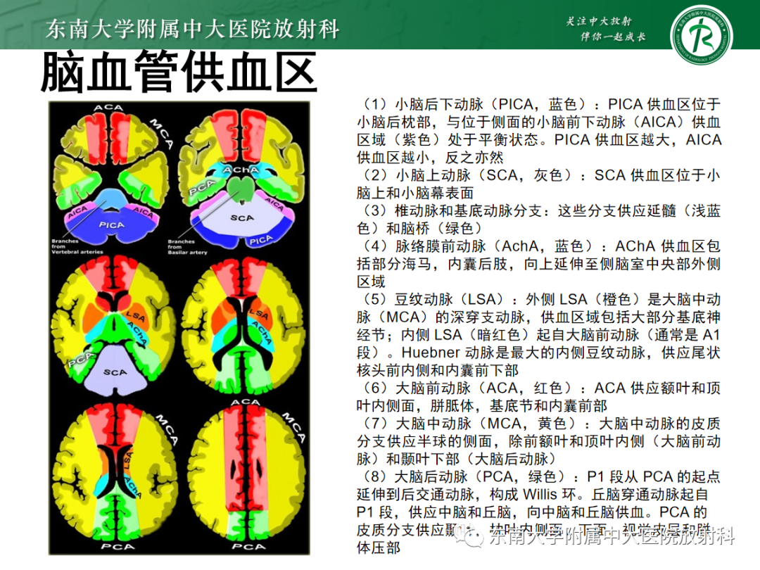 影像PPT - 【PPT】特鲁索综合征-6 影像PPT - 【PPT】特鲁索综合征-6