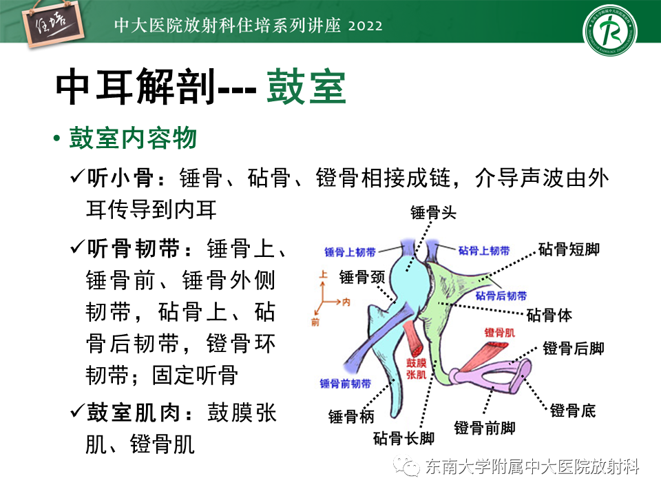 影像PPT - 【PPT】耳颞部发育异常影像评估-7