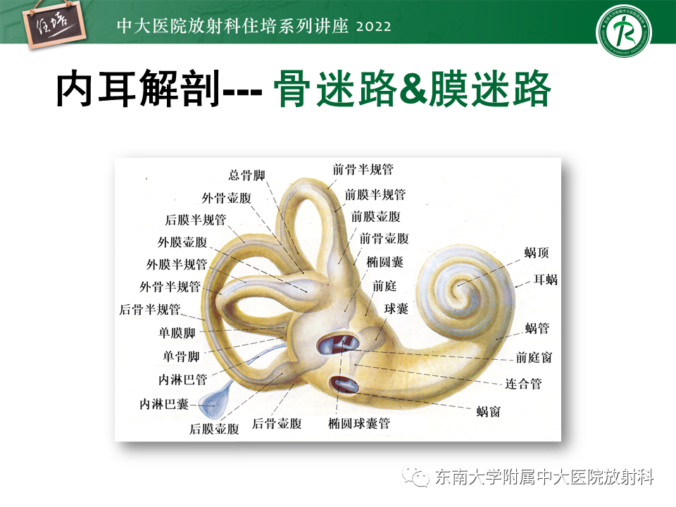 影像PPT - 【PPT】耳颞部发育异常影像评估-9