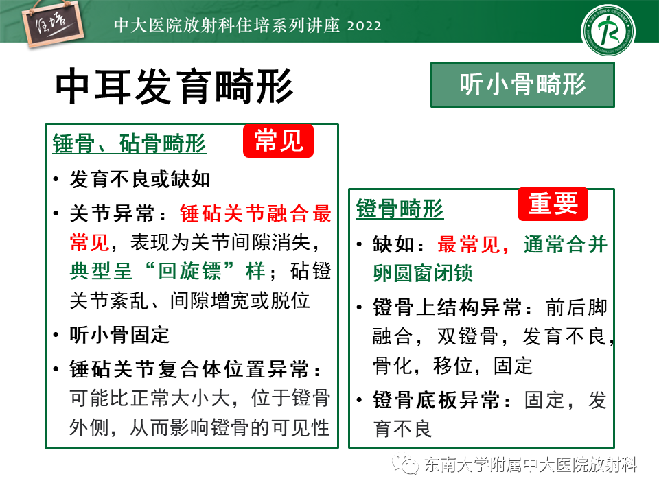 影像PPT - 【PPT】耳颞部发育异常影像评估-47