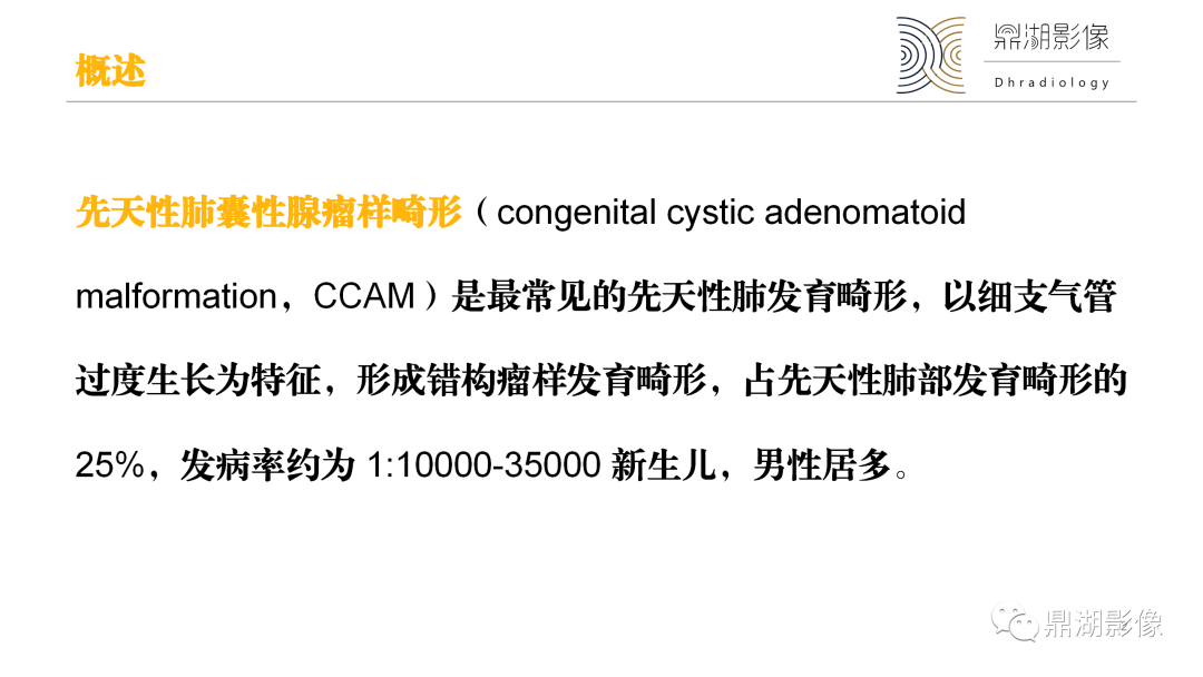 影像PPT - 【PPT】先天性肺囊性腺瘤样畸形-2