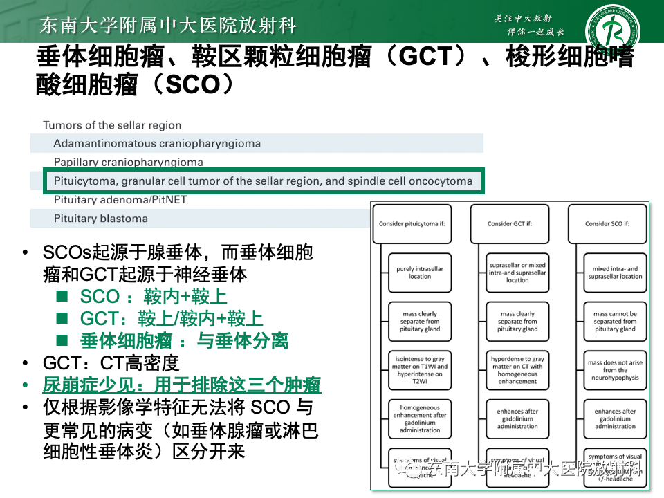影像PPT - 【PPT】垂体柄病变的影像诊断-22