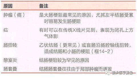 影像PPT - 如何辨识肠梗阻-15