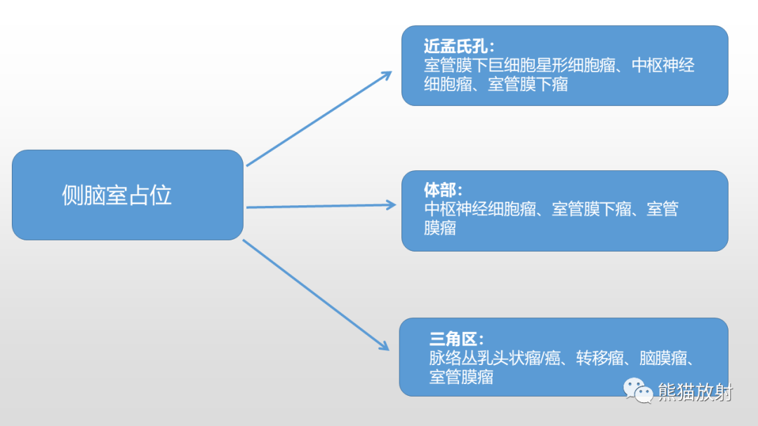影像PPT - 【PPT】常见侧脑室占位的影像诊断-27