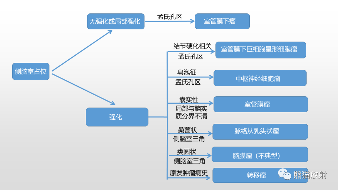 影像PPT - 【PPT】常见侧脑室占位的影像诊断-40