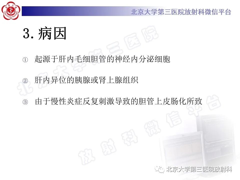 影像PPT - 【PPT】原发性肝脏神经内分泌肿瘤-11
